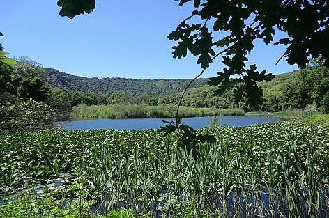08-2 Astroni crater Nature Reserve-2.jpg